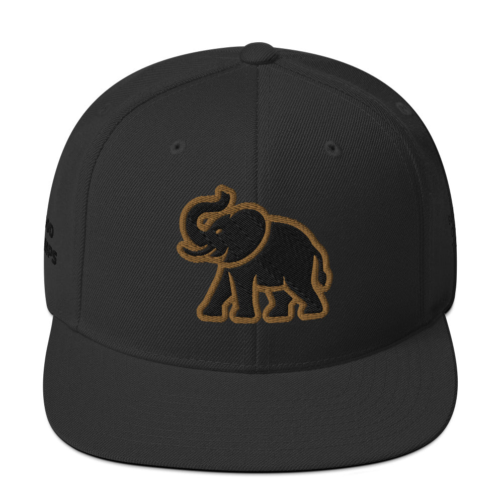 SUCCESS Snapback Hat