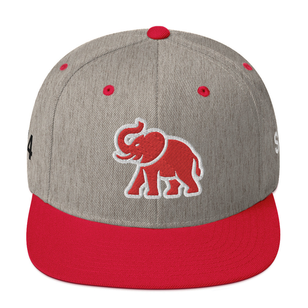 Snapback Hat