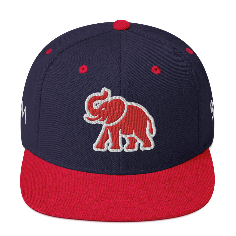 Elephant SM Snapback Hat