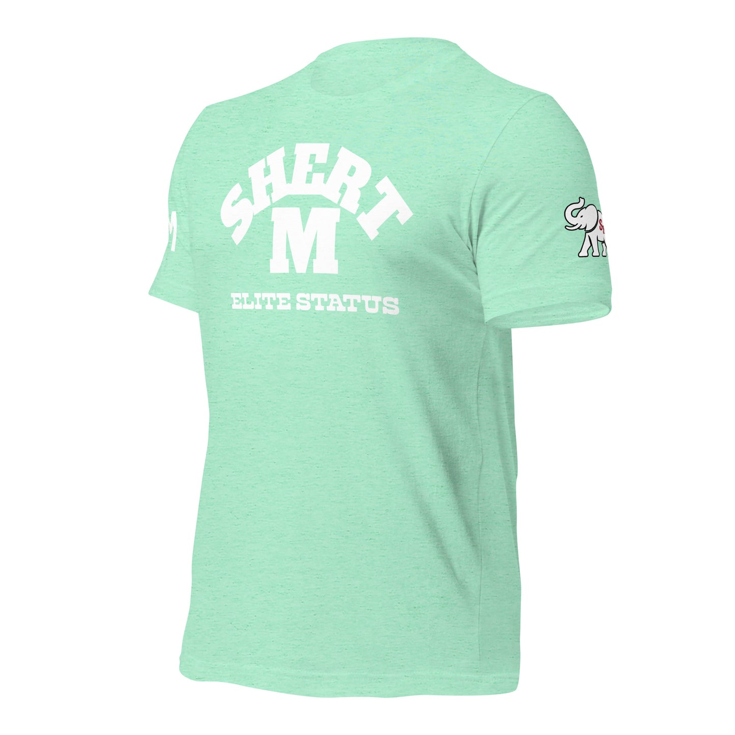 UNIVERSITY SM Unisex t-shirt
