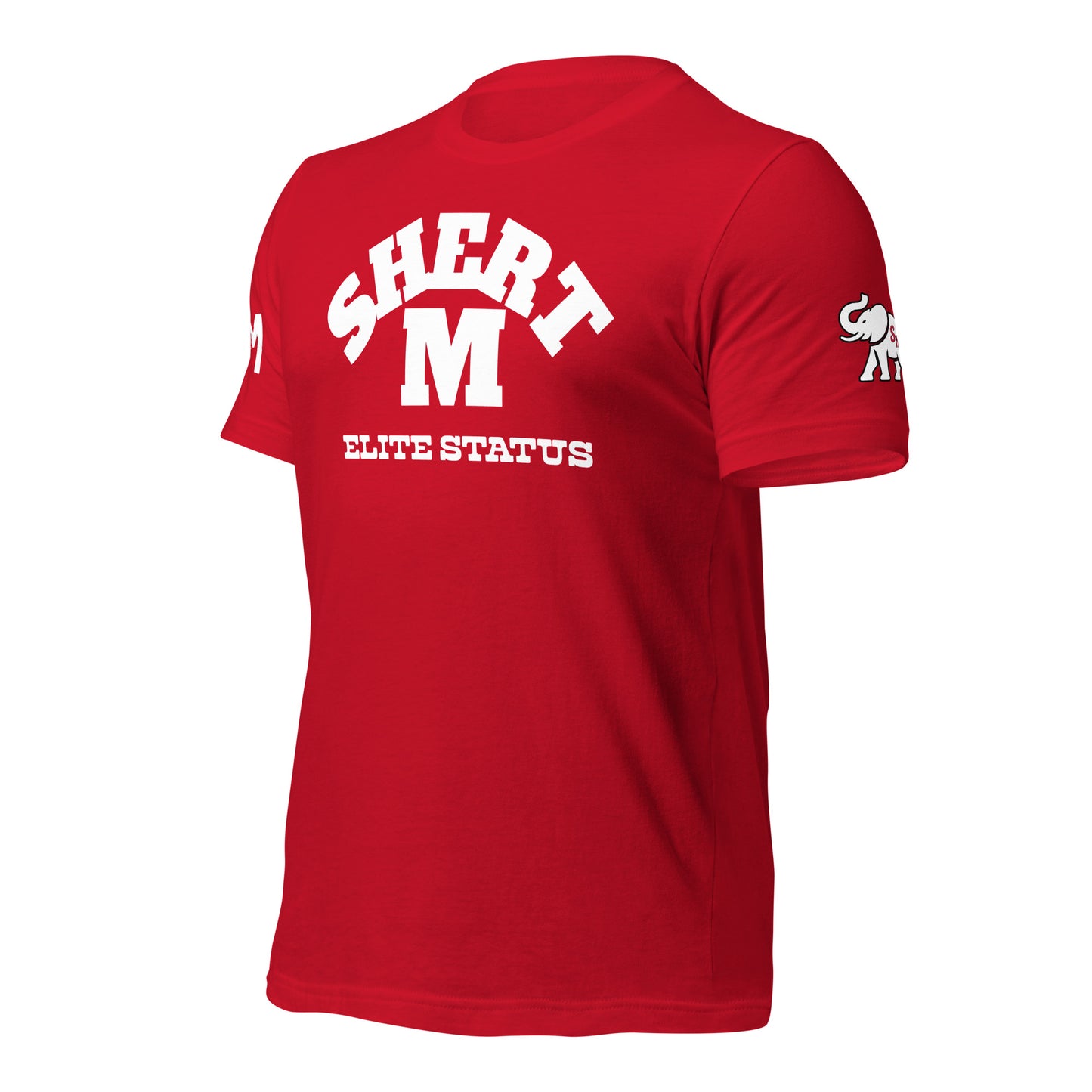 UNIVERSITY SM Unisex t-shirt