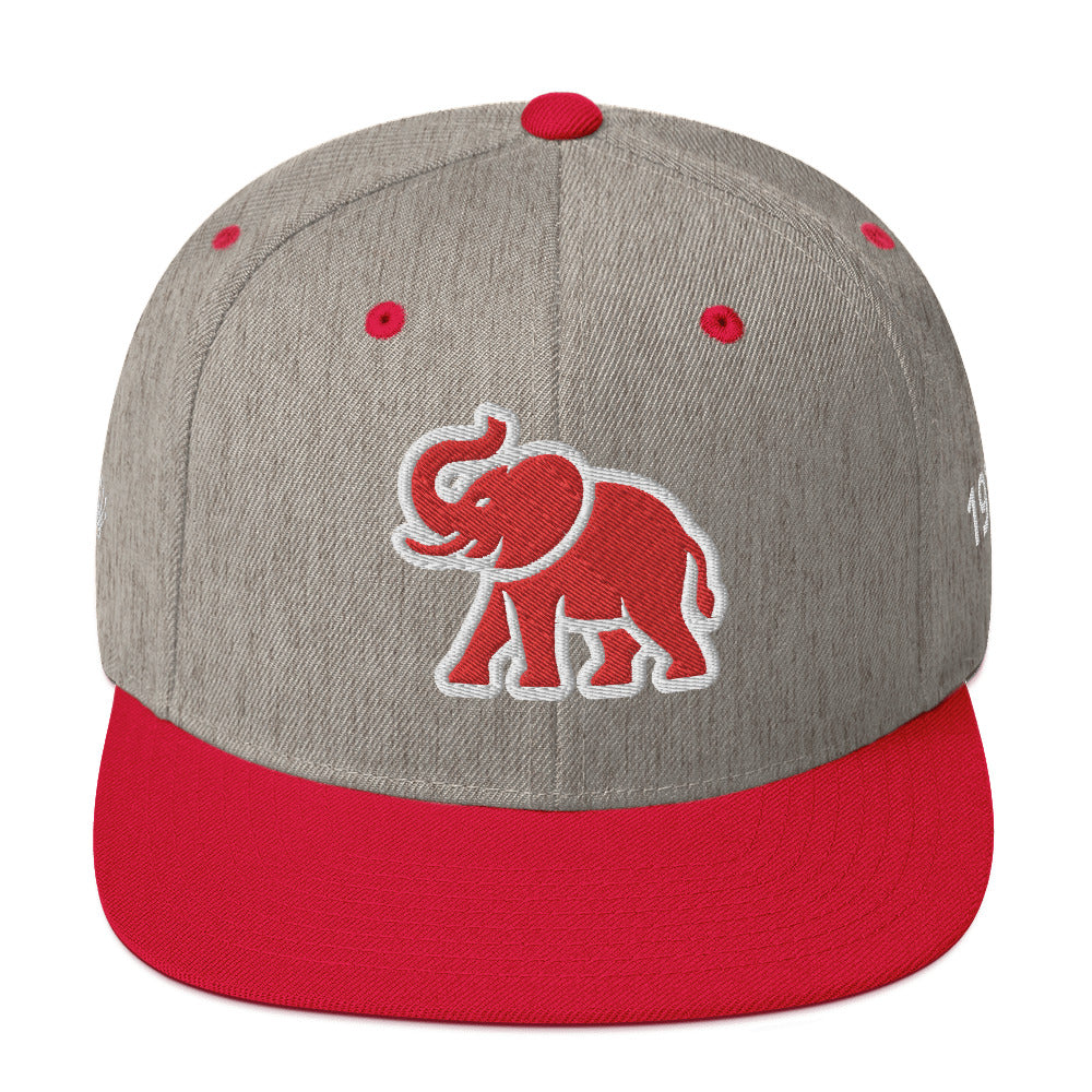 Logo Elephant Snapback Hat