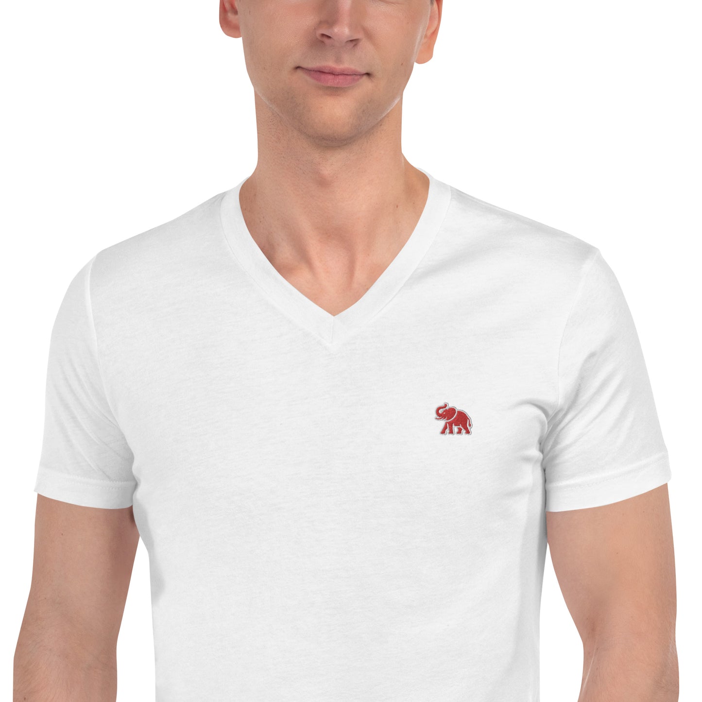 Logo Short Sleeve V-Neck T-Shirt